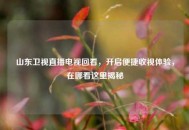 山东卫视直播电视回看，开启便捷收视体验，在哪看这里揭秘