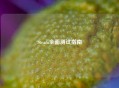 Steam全面测试指南