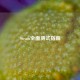 Steam全面测试指南