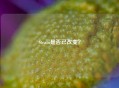Steam是否已改变？