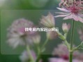 供电局内掀起CF风云