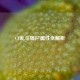 CF乱斗僵尸属性全解析
