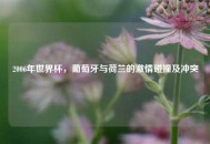 2006年世界杯，葡萄牙与荷兰的***碰撞及冲突