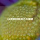 LOL限制技能排名大揭秘