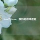 Scum与Steam，独特的游戏邂逅