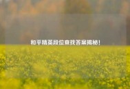 和平精英段位查找答案揭秘！