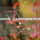探秘安联球场，足球圣殿的传奇魅力与地理位置
