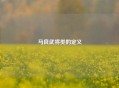 马良武将类的定义