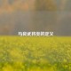 马良武将类的定义