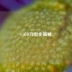 CSGO刀型全揭秘