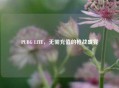 PUBG LITE，无需充值的枪战盛宴