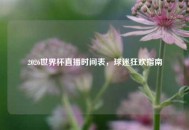 2026世界杯直播时间表，球迷狂欢指南