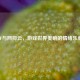 CF与网抑云，游戏世界奏响的情绪乐章