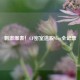      爆表！CF密室逃脱Vlog全记录