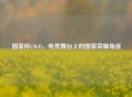 国家杯CSGO，电竞舞台上的国家荣耀角逐