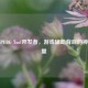 探秘PUBG Tool开发者，游戏辅助背后的神秘力量