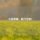 王者荣耀，魅力无限！