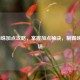 LOL蜘蛛加点攻略，掌握加点秘诀，制霸峡谷战场
