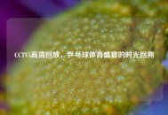 CCTV5高清回放，乒乓球体育盛宴的时光回溯