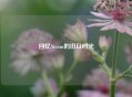 回忆Steam的旧日时光