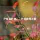 逆战蓝色镰刀，开启传奇之旅