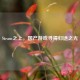 Steam之上，国产游戏寻得归途之光