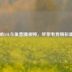 探秘LOL斗鱼直播视频，尽享电竞精彩盛宴