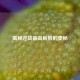 揭秘逆战更高局数的奥秘