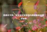鹈鹕中文网，篮球迷交流家园与鹈鹕最新消息获取地