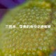 三国杀，李典的身份之道解析