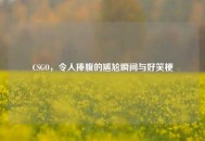 CSGO，令人捧腹的尴尬瞬间与好笑梗