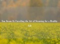 You Steam It: Unveiling the Art of Steaming for a Healthy Life