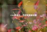 CSGO获准许，开启电竞新征程