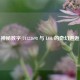 神秘数字 74123698 与 LOL 的奇幻邂逅