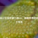 三国杀UP主锐评新三国218，游戏世界的风云谋士发声