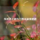 当河洛之神与三国杀浪漫邂逅