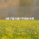 CF陈子豪刀僵尸的精彩传奇