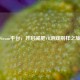 Steam平台，开启减肥VR游戏别样之旅