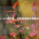 2022 CSGO锦标赛，热血激战催生电竞传奇