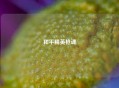 和平精英枪魂