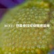2017CF，热血竞技绘就辉煌篇章