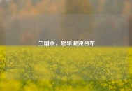 三国杀，怒斩混沌吕布