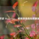 探秘逆战 TGame Logs，解锁游戏背后的数据密码