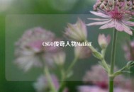 CSGO传奇人物Makloff