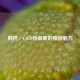 桐梓，CSGO热潮里的独特魅力
