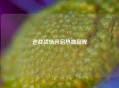 逆战战场开启热血征程