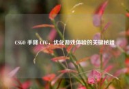 CSGO 手臂 CFG，优化游戏体验的关键秘籍