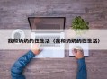 我和奶奶的性生活（我和奶奶的性生活）