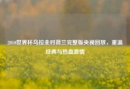 2010世界杯乌拉圭对荷兰完整版央视回放，重温经典与热血***