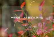 一探究竟，CSGO 最新 AK 叫什么